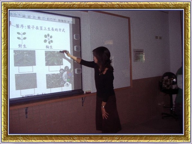 photo08.jpg